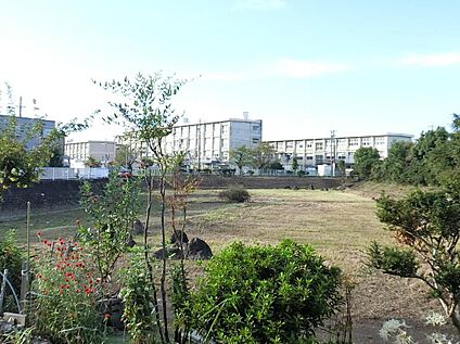岐阜市立城西小学校 1473ｍ(徒歩19分)