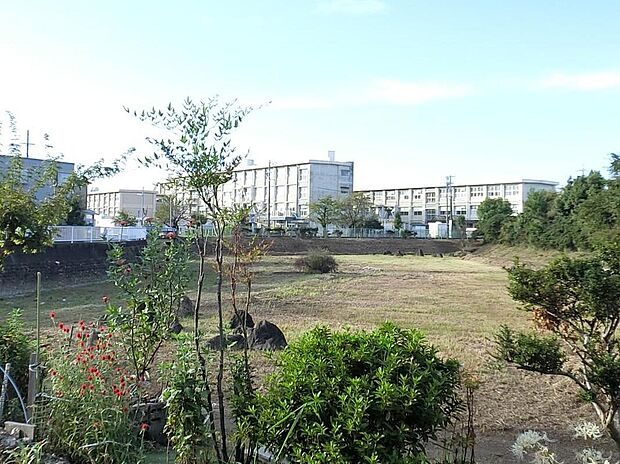 岐阜市立城西小学校（約1,473m）