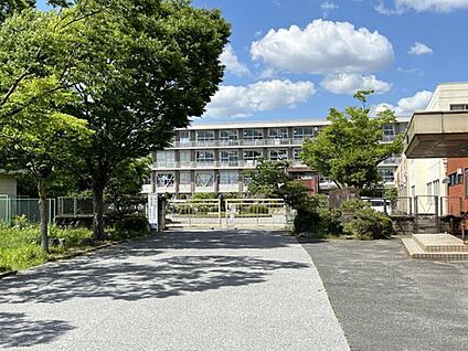 一宮市立木曽川中学校 2400ｍ(徒歩30分)