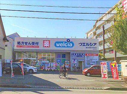 ウエルシア富士見東みずほ台店 約600m～700m(徒歩8分～9分)