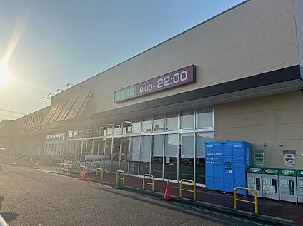 ヤオコー 上福岡駒林店 約600m(徒歩8 分)