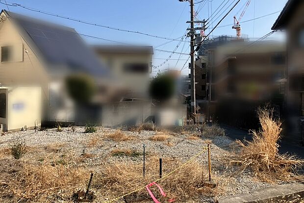 現地写真(2026年2月撮影)