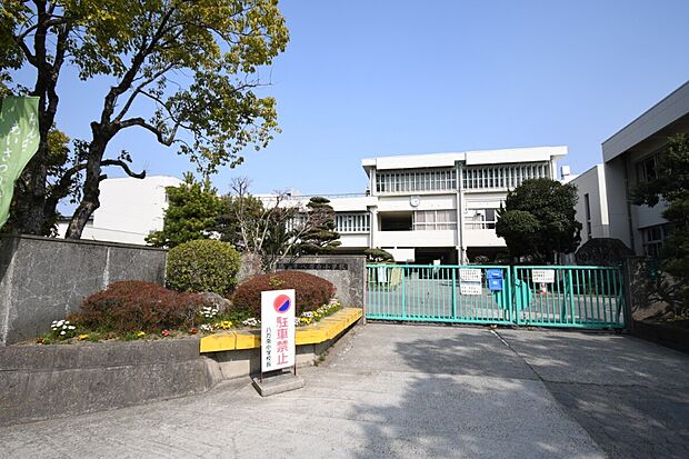 八万南小学校（約700m）