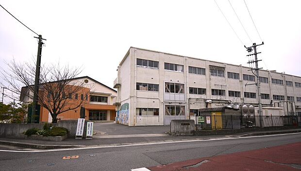 城東小学校(約600m)
