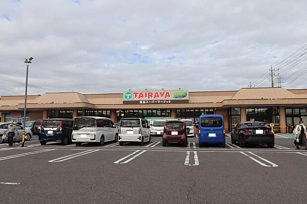 TAIRAYA小金井店（約25m）