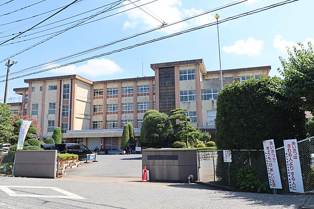 結城小学校(約10m)