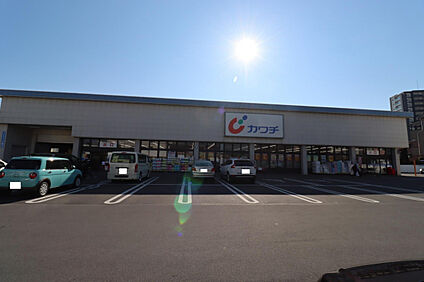 カワチ薬品今泉店 478m