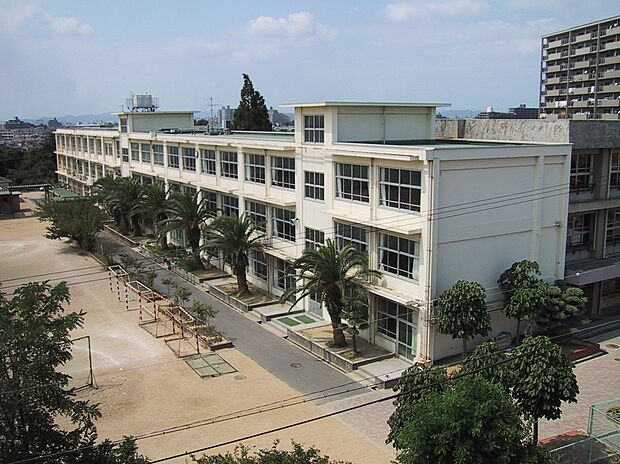 明石市立魚住中学校(約700m)