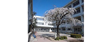 姫路市立荒川小学校 830ｍ(徒歩11分)