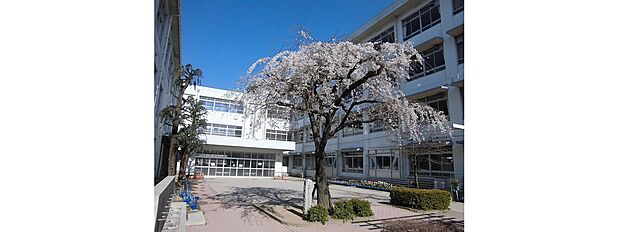 姫路市立荒川小学校（約830m）