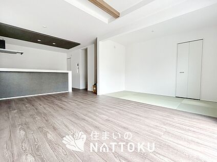 現地写真(リビング)