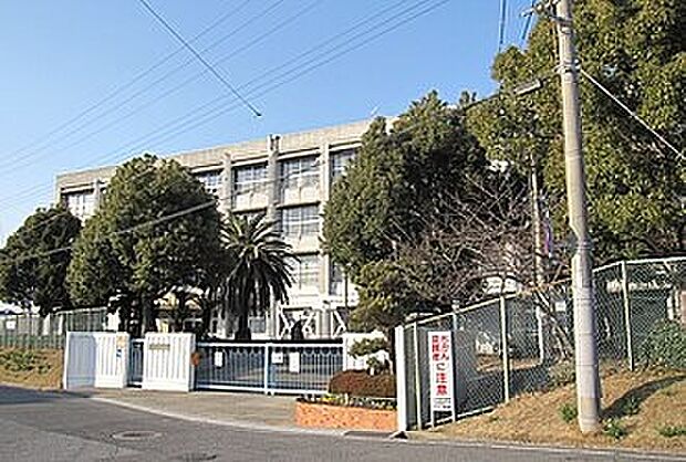 明石市立江井島中学校(約950m)