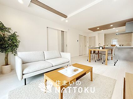 現地写真(リビング)