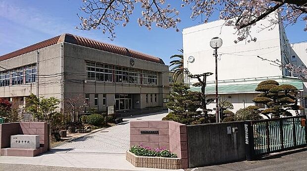加古川市立中部中学校(約500m)