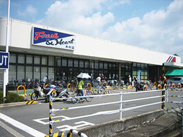 マルアイ木村店(約910m)