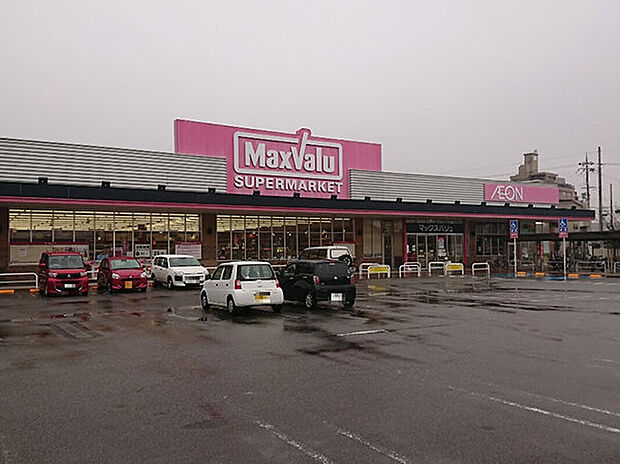マックスバリュ大久保店(約670m)
