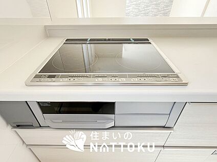 浄水器内臓ハンドシャワー付シンク