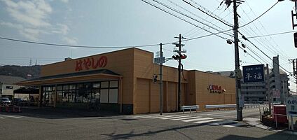 はやしの田寺店 330ｍ(徒歩5分)