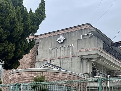 松山市立さくら小学校 650m(徒歩9分)