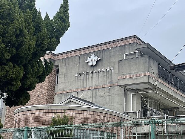 松山市立さくら小学校(約650m)