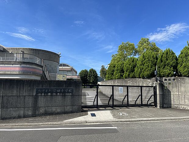 松山市立窪田小学校（約900m）