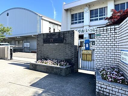 松山市立椿小学校 徒歩900m