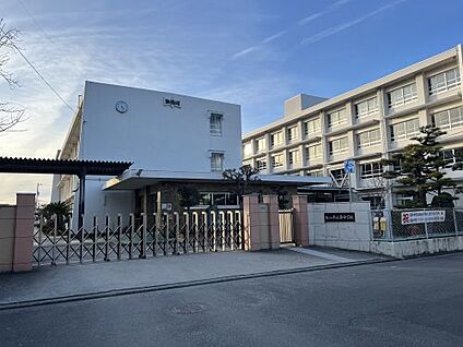 松山市立南中学校 徒歩950m