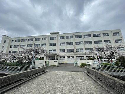 高槻市立柳川小学校 約611ｍ(徒歩8分)