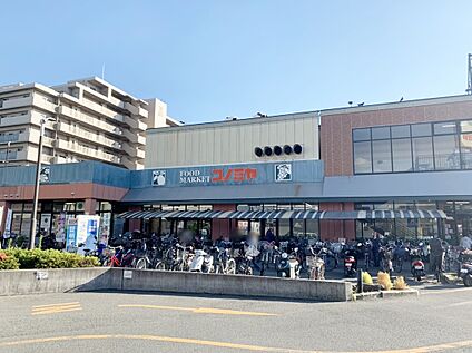 コノミヤ高槻店 約648ｍ(徒歩9分)