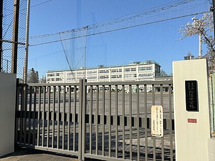 杉並区立向陽中学校 約700～750ｍ(徒歩約9分)