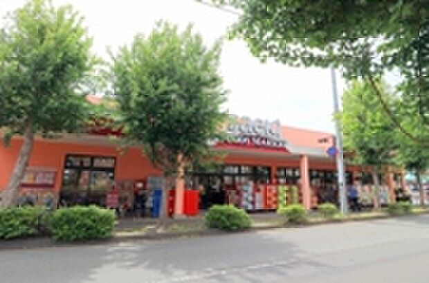 フードマーケットさえき若松町店(約500m)