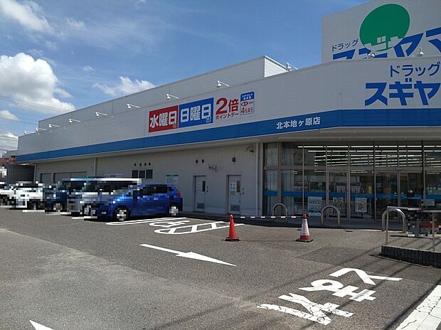 ドラッグスギヤマ北本地ヶ原店