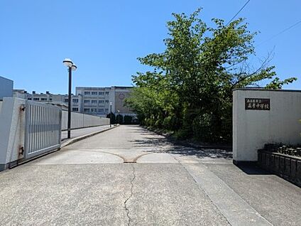 森孝中学校 徒歩223m