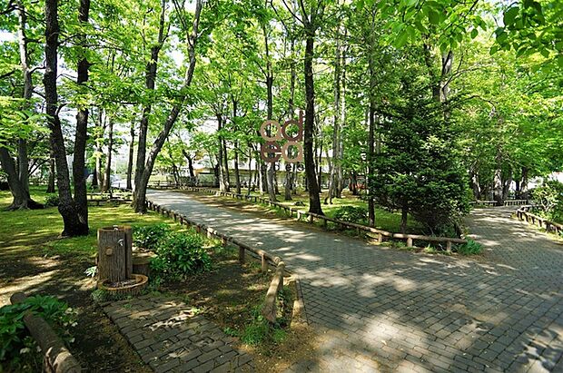 南台樹林公園（約350m）