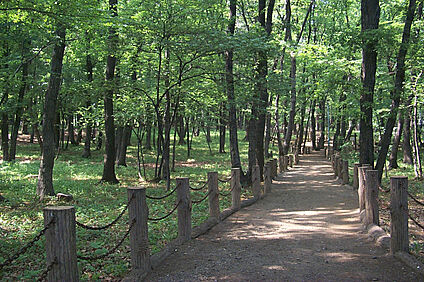 西原自然公園 850ｍ
