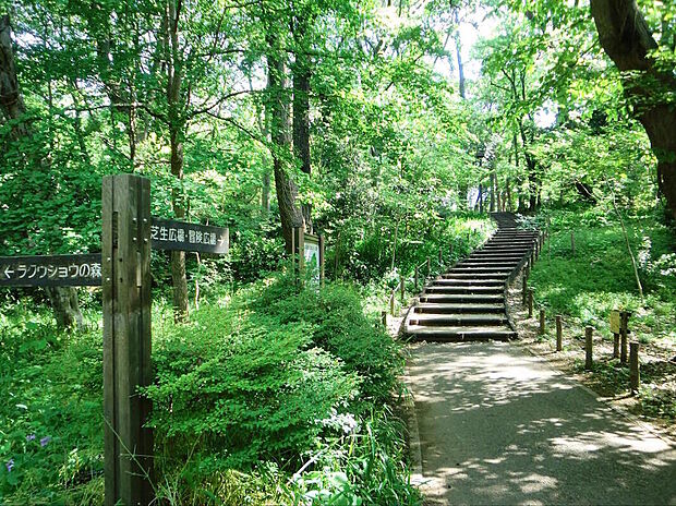 林試の森公園(約450m)
