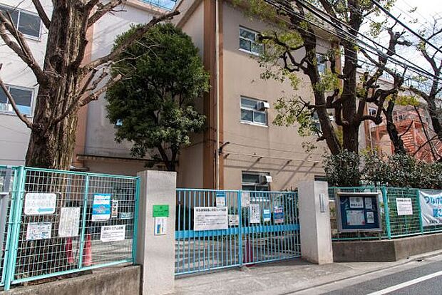 浜田山小学校（約700m）