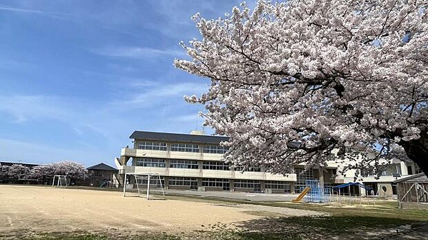 高松小学校(約900m)