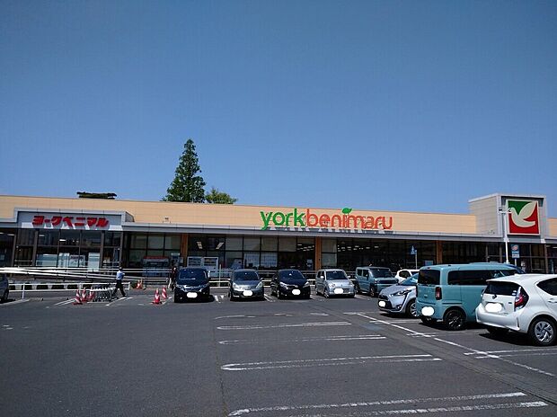 ヨークベニマル 東大島店