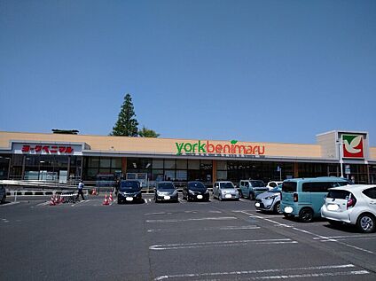 ヨ-クベニマル東大島店 約300ｍ(徒歩約4分)