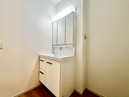 ３面鏡のシャワー付洗面台