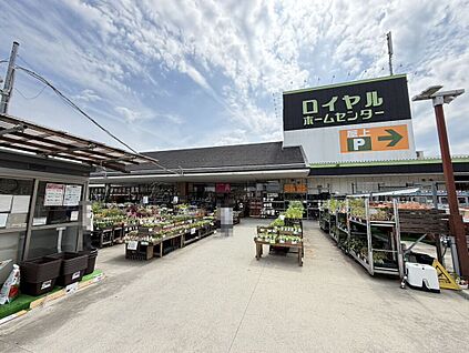 ロイヤルホームセンター堺 約1120ｍ(徒歩１４分)