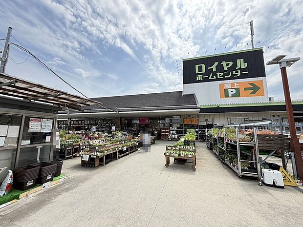 ロイヤルホームセンター堺