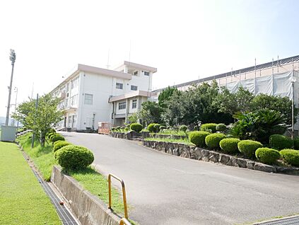 市立新田小学校 約750m(徒歩約10分)