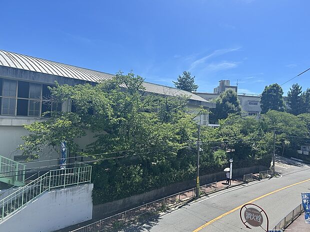 上野小学校（約350m）
