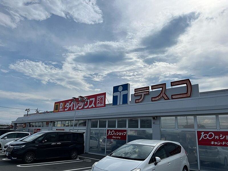 【その他】ダイレックス玉村店