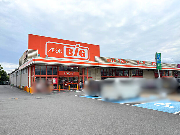 ザ・ビッグ富士荒田島店