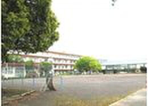 南小学校