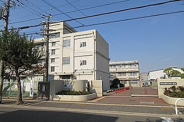 堺市立新金岡小学校(約750m)