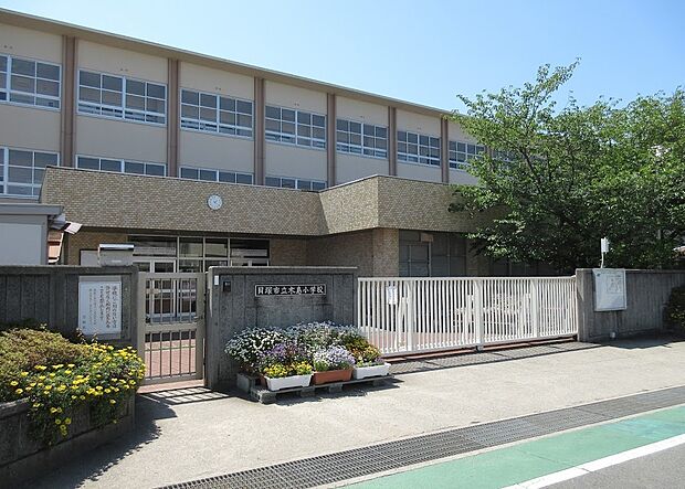 貝塚市立木島小学校(約500m)